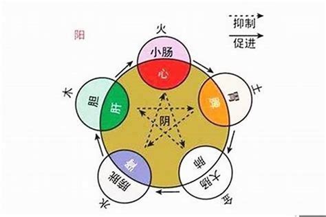 壬戌五行|壬戌